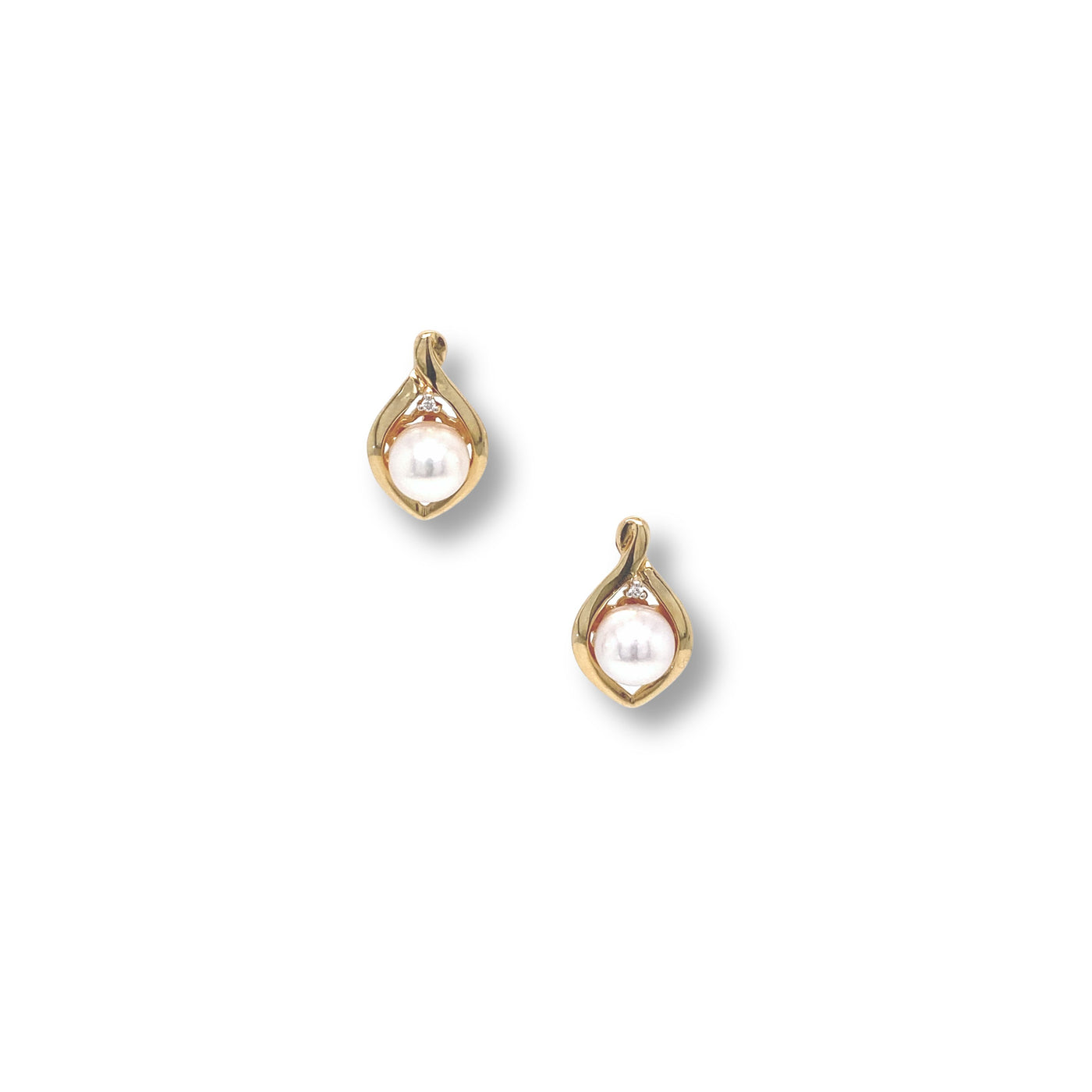 Golden Droplet Akoya Earrings