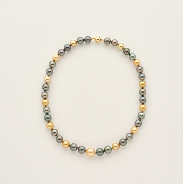 Golden & Tahitian Eclipse Strand